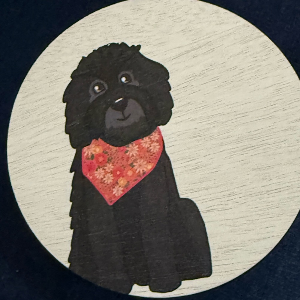 Sand + Paws Pet Odor Neutralizing Candle- Rare Gardenia fragrance.